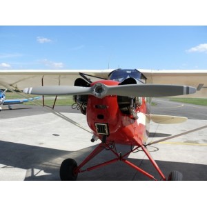 Piper Cub L-4 HB-OEY (photo 1)
