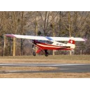Piper Cub L-4 HB-OEY