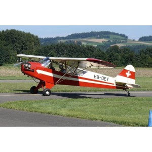 Piper Cub L-4 HB-OEY (pic 2)