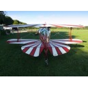Pitts S-1T N49336
