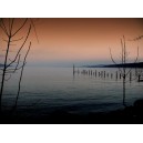 Lake Neuchâtel