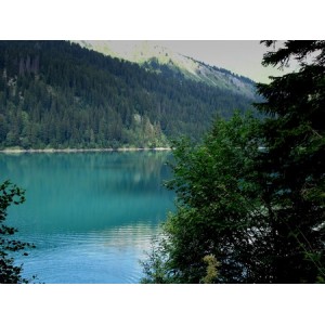 Arnensee - Mountain lake (6)